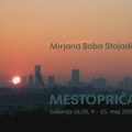 Mestopriča Mirjane Bobić Stojadinović: Džepovi slobode i osvrt na prvih 25 godina rada (FOTO)