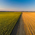 Ministarstva poljoprivrede Srbije i Republike Srpske potpisala memorandum o saradnji u oblasti agrarnih plaćanja
