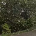 Hrvatima pao sneg u maju! Nacionalni park se probudio pod belim pokrivačem, meštani u šoku! (video)