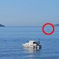 Misteriozni gost u crnogorskim vodama Stručnjaci upozoravaju, a prizor ostavlja bez daha