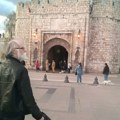 Grad Niš ostao bez ijednog republičkog dinara za ozelenjavanje jer je napravio propust u konkursnoj prijavi: Narodni pokret…