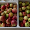 Zdrave poslastice sa jabukama koje ćete želeti da pravite cele jeseni