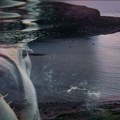 Napad ajkule u ŠPANIJI: Plava ajkula napala plivača u plićaku na plaži u Valensiji