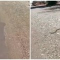 Srbi snimili ogromnu zmijurinu u Grčkoj Izašla je iz vode, čuju se vrisci! (video)