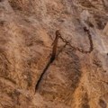 Krađa koja je potresla Francusku Iz stene misteriozno nestao francuski Eskalibur star 1.300 godina