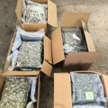 Заплена дроге на Шиду: У камиону пронађено више од 43 килограма марихуане, ухапшен возач