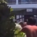 Žestoko pretučen bogataš koji je bacio kamen na foku! Batinaš postao heroj i dobio priznanje vlade! (video)