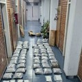 FOTO: Novosadska policija zaplenila više od 100 kg amfetamina, marihuane i kreatina i uhapsila dvojicu