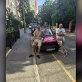 Pilot i "Zastava" u borbi za Viktora – "kec" iz evropske vožnje na licitaciji za lečenje dečaka