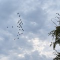 VRAĆA SE SUNCE I TEMPERATURA IDE DO 26 STEPENI: Evo kakvo vreme čeka Srbiju danas i narednih dana