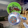 Denga, Zika i Virus Zapadnog Nila: Ove smrtonosne bolesti biće uobičajene u Srbiji ako klima nastavi sa ovakvim ekstremima
