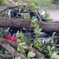 Nevreme napravilo haos u Zagrebu: Počupao krov škole, roletne lete kao da su od papira, snimci su strašni