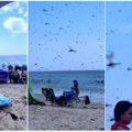 (Video) Snimak sa plaže kao scena iz horora! Sve je izgledalo normalno do jednog trenutka, a onda je nastala opšta panika