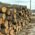 Kako građani da se prijave za povoljnije cene ogreva: Kubik drva "Srbijašume" 5.269 dinara, za neke 2.900