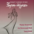 Koncert kamerne muzike „Zvučni pejzaži“ u sali Niškog simfonijskog orkestra
