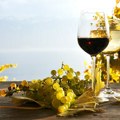 U novembru javni poziv za razvoj vinogradarstva i vinarstva