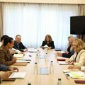 Paunović sa MMF-om: Pojednostavljenje zapošljavanja u državnoj upravi