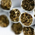 Nove akcize pojačavaju udar na novčanike pušača: Evo koliko više plaćate po paklici i kilogramu duvana