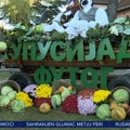"Od sarme do kiselog kupusa": Otvorena tradicionalna 24. Kupusijada u Futogu: Posetioci za "Blic TV" izdvojili najukusnije…