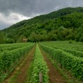 Kreditne olakšice, staro-novo rešenje koje hladnjačari i dalje potražuju