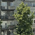 Plan Beograda za dupliranje zelenih površina i dalje „na čekanju“