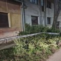 Ručna bomba treći dan stoji u žbunju na Avijatičarskom naselju u Novom Sadu: Čeka se kontradiverziona jedinica