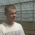 Aleksa prohodao u plasteniku, a SAD od njega živi! Od 30 ari došao do 2 hektara, otkrio tajnu uspeha sa svojih 20 godina