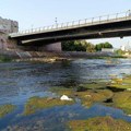 Novo prskanje protiv komaraca u blizini reka i bara u Nišu