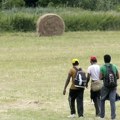 Skopljanka uhapšena dok je krijumčarila šest migranata u škodi oktavija