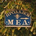 Može li ćirilica postati vidljivija u javnom prostoru?