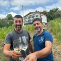 Porodična priča sa Kablara: Braća Tomić Vladimir i Aleksandar slave ovogodišnju berbu grožđa i čuvaju tradiciju vina i…