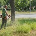 Da li građani mogu da tuže lokalne samouprave i gradove zbog ambrozije?