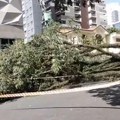Milioni ljudi bez struje i vode: Tropski ciklon pogodio Sao Paulo, padali dalekovodi i drveće (video)