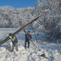 Zbog posledica snežnog nevremena Vlada naložila Elektrodistribuciji hitnu sanaciju mreže
