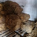 (Foto) Nađeno oko 500 kilograma duvana u Rumi: Muškarac (66) oštetio budžet Srbije za četiri miliona dinara