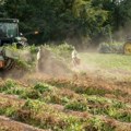Srpski poljoprivrednici opet prijete prosvjedom