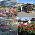 (Video, foto) danas i sutra, 19. I 20. Aprila, ispred Spensa Četvrta cvetna pijaca
