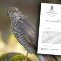 Ovo je sudbina zatočenog kopca koji se prodavao za 200 evra na srpskom oglasu