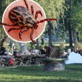Ako vas ujede krpelj nikako nemojte ovo da radite: Stručnjaci objašnjavaju kako se bezbedno uklanja sa kože