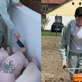 Hrani svinje i živinu pre škole! Sestrić našeg milionera neguje tradiciju života na selu: ''Od 14. godine sam održava…