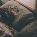 Koliko sati sna je idealno da ustanete sveži i odmorni? Naučnici objavili rezultate istraživanja