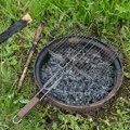 Ne bacajte pepeo posle roštiljanja: Ovo povrće ga obožava, a može da donese i bogatiji rod