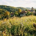 Od velike do male gospojine: Vreme kada se bere „međudnevničko“ lekovito bilje