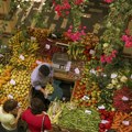 PKS: Srpski privrednici na sajmu svežeg voća i povrća u Madridu od 5. do 8. oktobra
