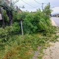Nevreme u Kragujevcu