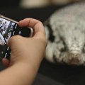 Pogledajte šta se desilo nakon što su deci zabranili mobilne telefone u školama