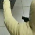 Ako ga vidite, bežite: Policija traga za višestrukim prestupnikom - govori čudnim akcentom (foto)