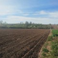 Kragujevac: Za poljoprivredne subvencije iz budžeta grada 100 miliona dinara