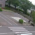 Хаос у Јапану! Медвед повредио четворо људи у стамбеном подручју, снимак је језив!