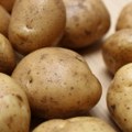 Nestašica mladog krumpira u Hrvatskoj